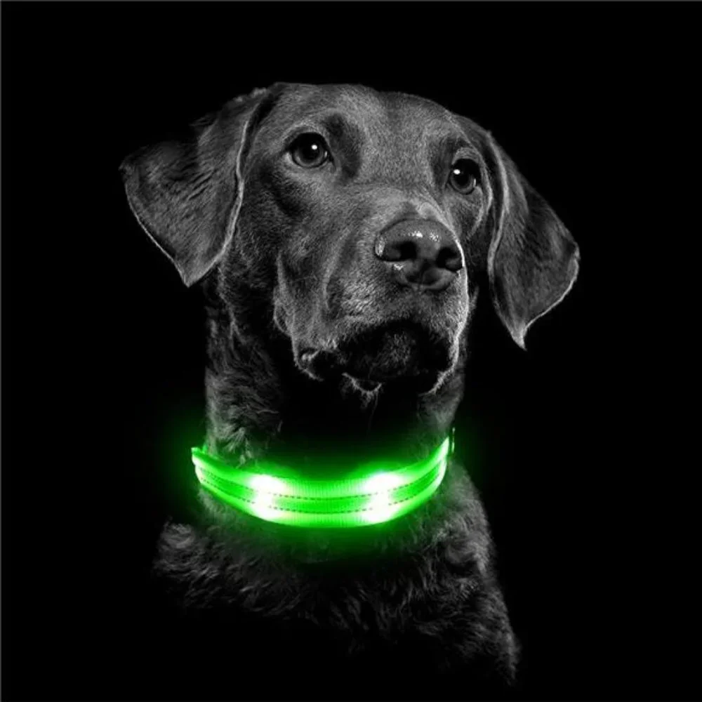 Led Dog Collar, Rechargeable Light Up Collar Waterproof, Green